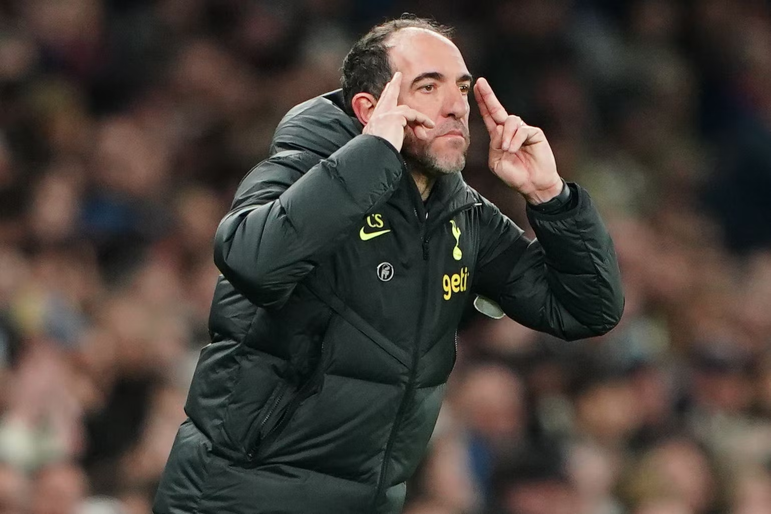 스텔리니 감독 대행 placeholder